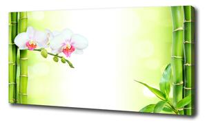 Foto obraz na plátně Orchidej a bambus oc-82165838