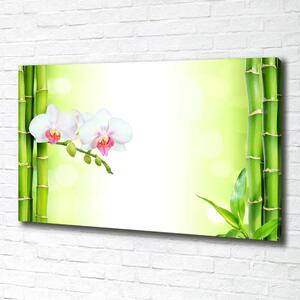 Foto obraz na plátně Orchidej a bambus oc-82165838