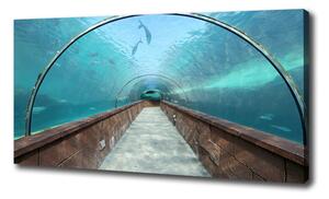 Foto obraz na plátně Tunel akvárium oc-82197217