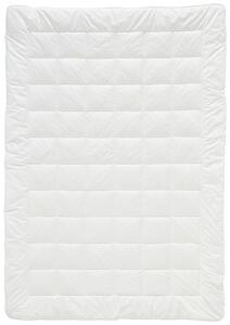 LETNÍ PŘIKRÝVKA, 135/200 cm, polyester, duté vlákno Billerbeck - Přikrývky