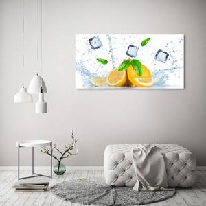 Foto obraz skleněný horizontální Citrony s ledem osh-82344620