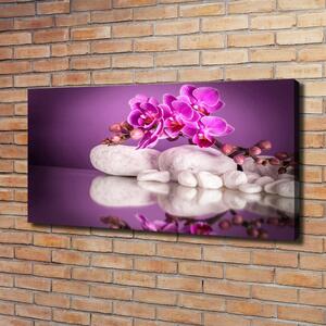 Foto obraz canvas Růžová orchidej oc-82457632