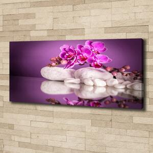 Foto obraz canvas Růžová orchidej oc-82457632