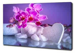 Foto obraz canvas Orchidej a srdce oc-82482729