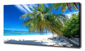 Foto obraz na plátně Tropická pláž oc-82585815