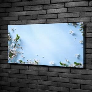 Foto obraz na plátně Květy višně pozadí oc-82769762