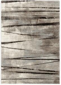 Breno Kusový koberec DIAMOND 24166/795, 120x170 cm, Vícebarevné/Hnědá