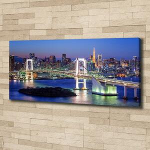 Foto obraz na plátně do obýváku Most v Tokio oc-83069808
