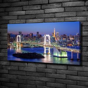 Foto obraz na plátně do obýváku Most v Tokio oc-83069808