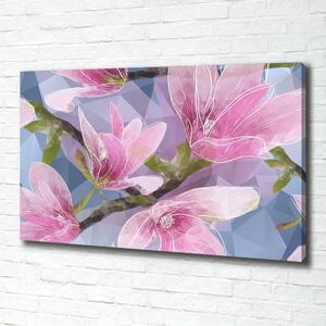 Foto obraz na plátně do obýváku Růžová magnolie oc-83196443