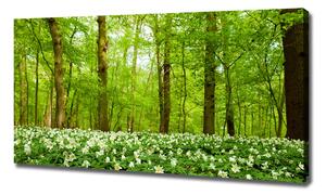 Foto obraz na plátně Květiny v lese oc-83235444