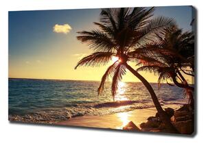 Foto obraz na plátně Tropická pláž oc-83274893