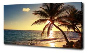 Foto obraz na plátně Tropická pláž oc-83274893