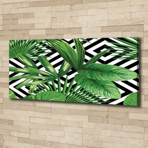 Moderní obraz canvas na rámu Tropické listí oc-83346091