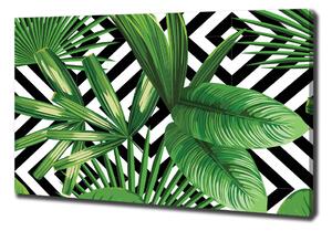 Moderní obraz canvas na rámu Tropické listí oc-83346091