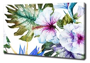 Foto obraz na plátně Havajské květiny oc-83808650