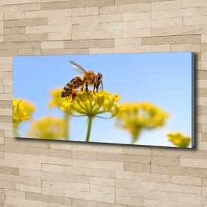 Foto obraz na plátně Včela na květině oc-83831573