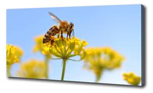 Foto obraz na plátně Včela na květině oc-83831573