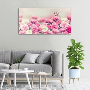 Moderní fotoobraz canvas na rámu Květy divoké růže oc-84071229