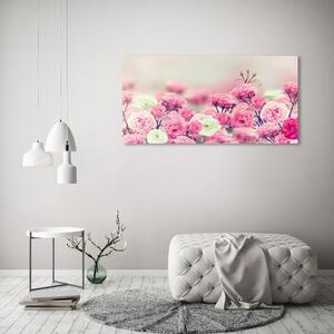 Moderní skleněný obraz z fotografie Květy divoké růže osh-84071229
