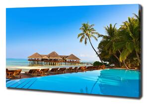 Foto obraz na plátně Bazén na Maledivách oc-84412154