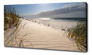 Foto obraz na plátně Mřežino pláž oc-84989686