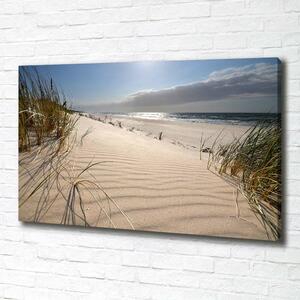 Foto obraz na plátně Mřežino pláž oc-84989686