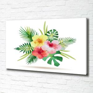 Foto obraz na plátně Havajské květiny oc-85139888