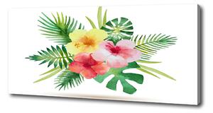 Foto obraz na plátně Havajské květiny oc-85139888