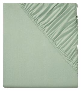 LIVARNO home Žerzejové napínací prostěradlo, 90–100 x 200 cm (zelená) (100353706003)