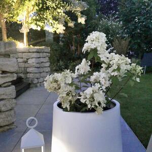 Vivanno květináč VEKRA, výška 50 cm, sklolaminát, bílý