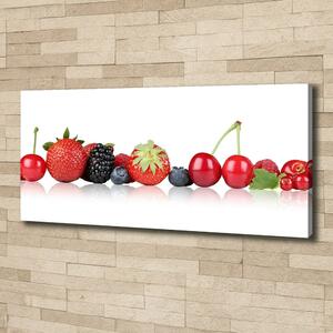 Moderní obraz canvas na rámu Ovoce v řadě oc-85383842