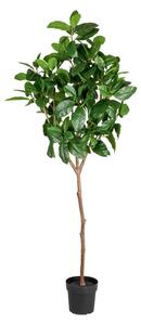 LIVARNO home Dekorační umělá rostlina magnólie, 190 cm (100356784)
