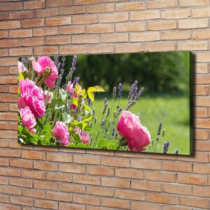 Moderní obraz canvas na rámu Díková růže oc-86194342