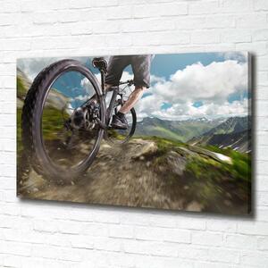 Foto obraz na plátně Horská cyklistika oc-86431808