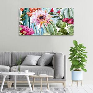 Foto obraz na plátně Kaktusy a květiny oc-86911786