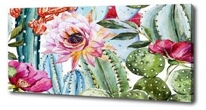 Foto obraz na plátně Kaktusy a květiny oc-86911786
