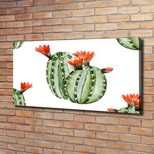 Foto obraz na plátně Kaktusy oc-86911813