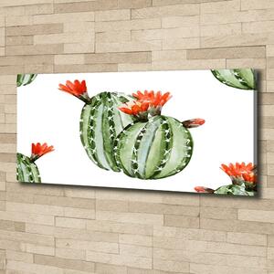 Foto obraz na plátně Kaktusy oc-86911813