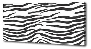 Foto obraz na plátně Zebra pozadí oc-87477290