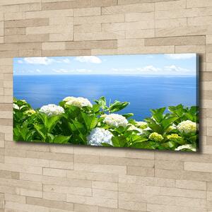 Foto obraz na plátně Květiny nad mořem oc-87726143