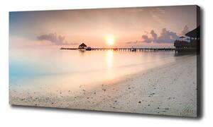 Foto obraz na plátně Pláž Maledivy oc-87760968
