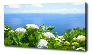 Foto obraz na plátně Květiny nad mořem oc-87726143