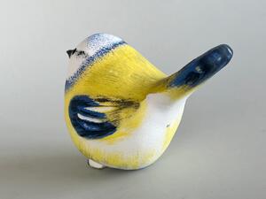 Ptáček střední - sýkorka modřinka
