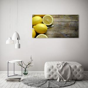 Foto obraz skleněný horizontální Citrony na stromě osh-88521131