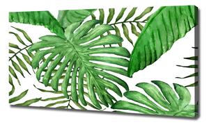 Moderní obraz canvas na rámu Tropické listí oc-88986198