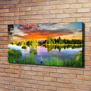 Moderní fotoobraz canvas na rámu Řeka v lese oc-89317009