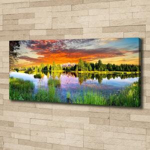 Moderní fotoobraz canvas na rámu Řeka v lese oc-89317009