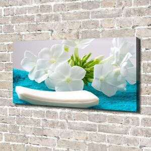 Foto obraz na plátně do obýváku Bílé květiny spa oc-89406381