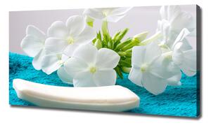 Foto obraz na plátně do obýváku Bílé květiny spa oc-89406381